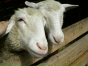 Фотография Бабиной Натальи