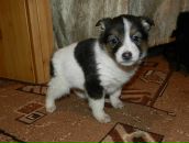 Фотография Латыповой Чулпан