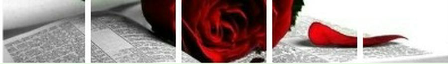 Світлана Лось фотография #1