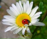 Фотография Ишмуратов Руслан