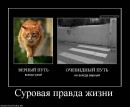 Ігор Meksilol фотография #44 (источник - https://vk.com/id67121156)
