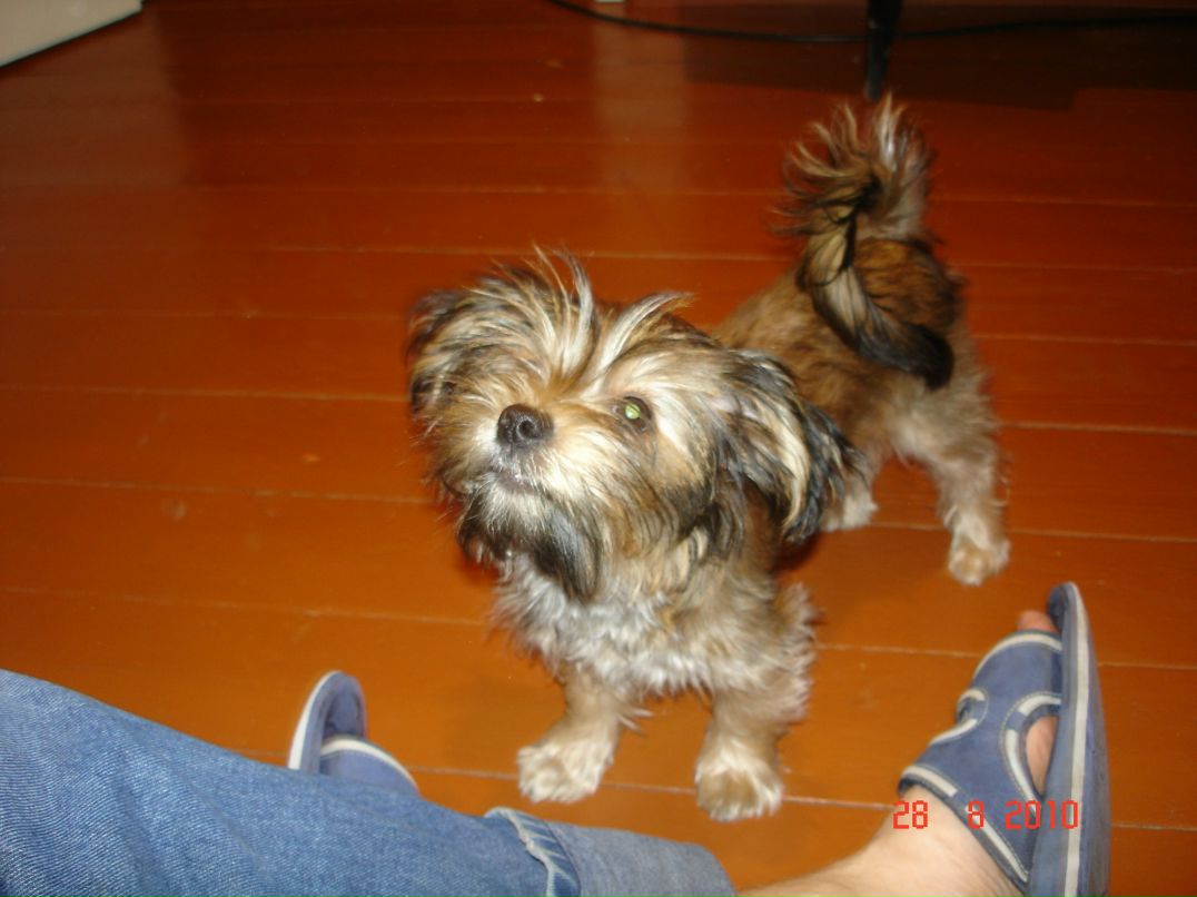 Иван Андреев фотография #39