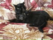 Фотография Опольской Евгении