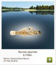 Влад Якубовский фотография #16 (источник - https://vk.com/id154462282)