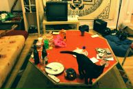 Elvek Timtim фотография #39 (источник - https://vk.com/id556952)