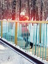 Вікторія Бойко фотография #48 (источник - https://vk.com/id41125766)