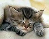 Марія Жук фотография #26 (источник - https://vk.com/id40288635)