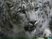 Фотография Михаленко Психолог Анастасии