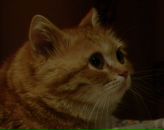 Фотография Кузнецовой Татьяны