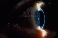 Фотография Эриксона Андрея