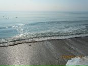 Савенко Світлана фотография #21 (источник - https://vk.com/id118561298)