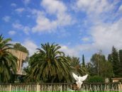 Witch Only фотография #20 (источник - https://vk.com/id2072397)