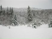 Андрій Зубрицький фотография #38 (источник - https://vk.com/id66248463)