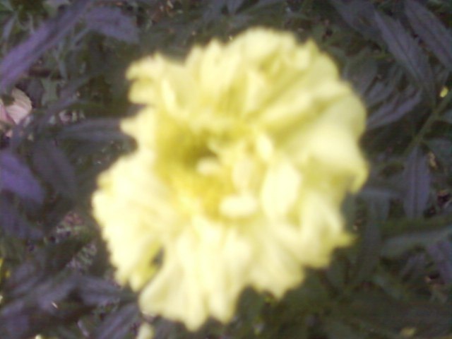 Настя Бугара фотография #7