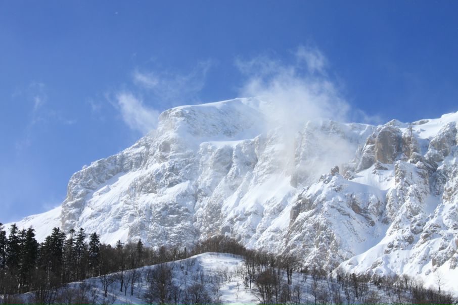 Антон Киселенко фото №29