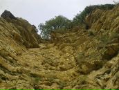 Сергей Ткаченко фотография #22 (источник - https://vk.com/id2989997)