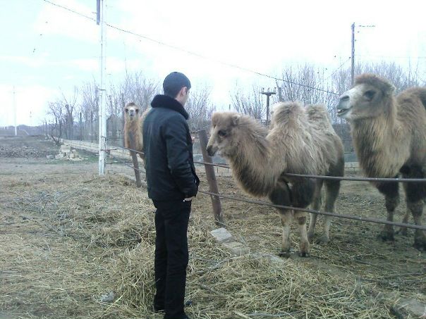 №1, Ceyhun Musayev, Баку №1, Ceyhun Musayev, Баку
