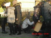 Іриска Весняна фотография #22 (источник - https://vk.com/id17098290)