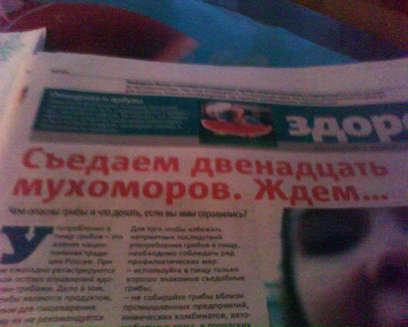 Дмитрий Бушъ фотография #43