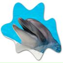 Фотография Малышева Саши