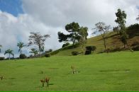 Сергій Кукурудзяк фотография #27 (источник - https://vk.com/id4476209)