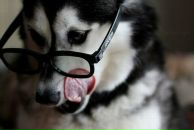 Фотография Ефремова Василия