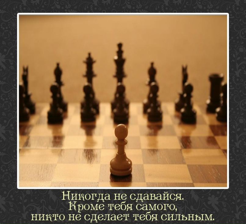 Вячеслав Волков фотография #1