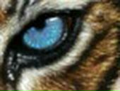 Олександр Андрієнко фотография #39 (источник - https://vk.com/id23256022)