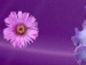 Софія Лицур фотография #3 (источник - https://vk.com/id39724621)