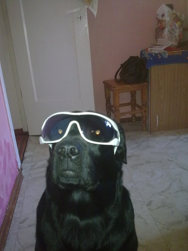 Андрей Студнев фотография #41