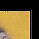 Христина Якімець-Максимяк фотография #43 (источник - https://vk.com/id21782638)