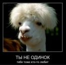 Фотография Родионова Михаила