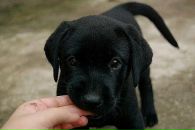 Рома Олійник фотография #14 (источник - https://vk.com/id17318835)