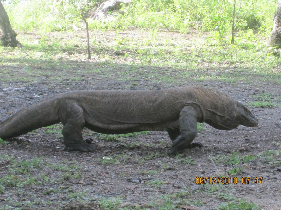 Дмитрий Орлов фотография #20