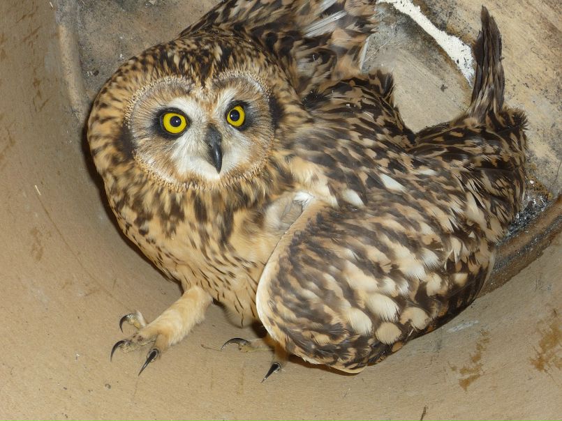 Виктор Зобнин фото №21