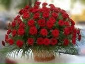 Саша Томашевській фотография #18 (источник - https://vk.com/id165356196)