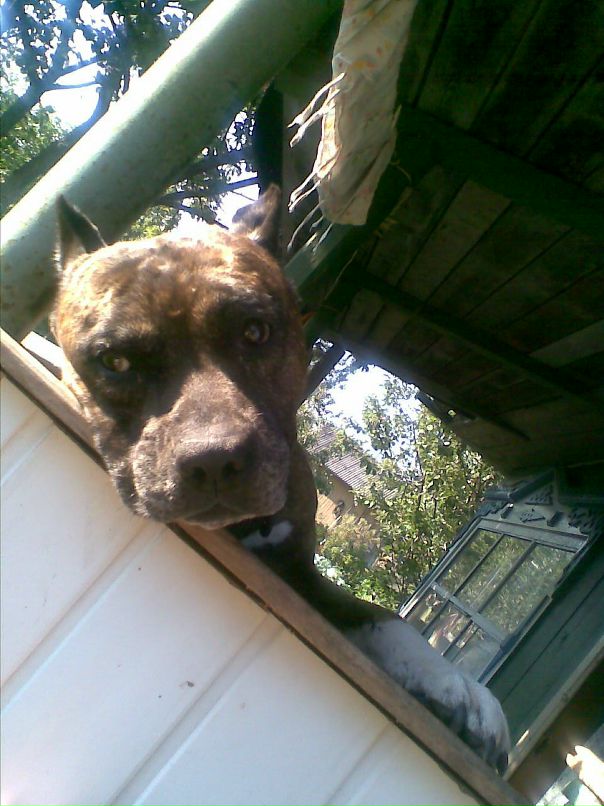 Артем Васильков фотография #38