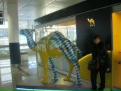 Оля Мусієнко фотография #31 (источник - https://vk.com/id71149453)