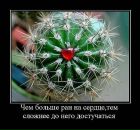 Юлія Брень фотография #48 (источник - https://vk.com/id29674476)