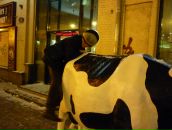 Фотография Вольнова Валерия