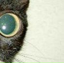 Віталій Цись фотография #29 (источник - https://vk.com/id27142199)