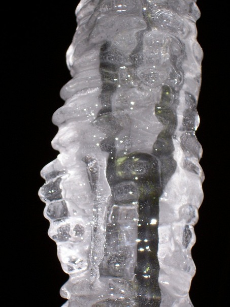 Olga Oconnell фото №35
