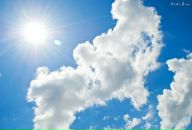 Фотография Манжос Александры