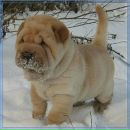 Прокіпчин Марян фотография #3 (источник - https://vk.com/id212719571)