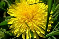 Ірина Герасимів фотография #5 (источник - https://vk.com/id31526235)