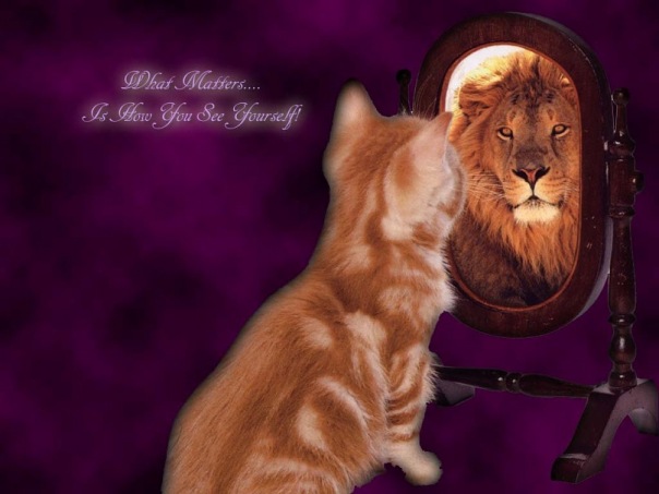 Sparta Sparta фото №22