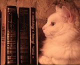 Фотография Волоханя Миши