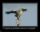 Игорь Темник фотография #47 (источник - https://vk.com/id96615668)