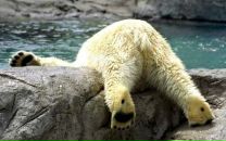 Фотография Васильевой Ирины