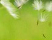 Надійка Кузик фотография #24 (источник - https://vk.com/id65464509)